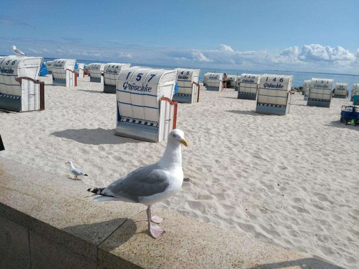 Ostsee Fewo By Wolf Grömitz Екстериор снимка